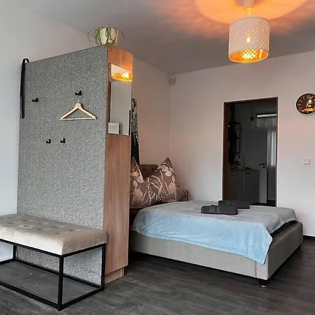 Zentrale Stadtwohnung, Bahnhofsnaehe, Og-Krankenhaus, Og-Messe, Europapark Offenbourg Extérieur photo