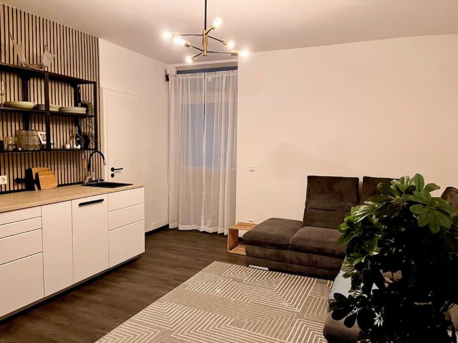 Appartement Zentrale Stadtwohnung, Bahnhofsnaehe, Og-krankenhaus, Og-messe, Europapark