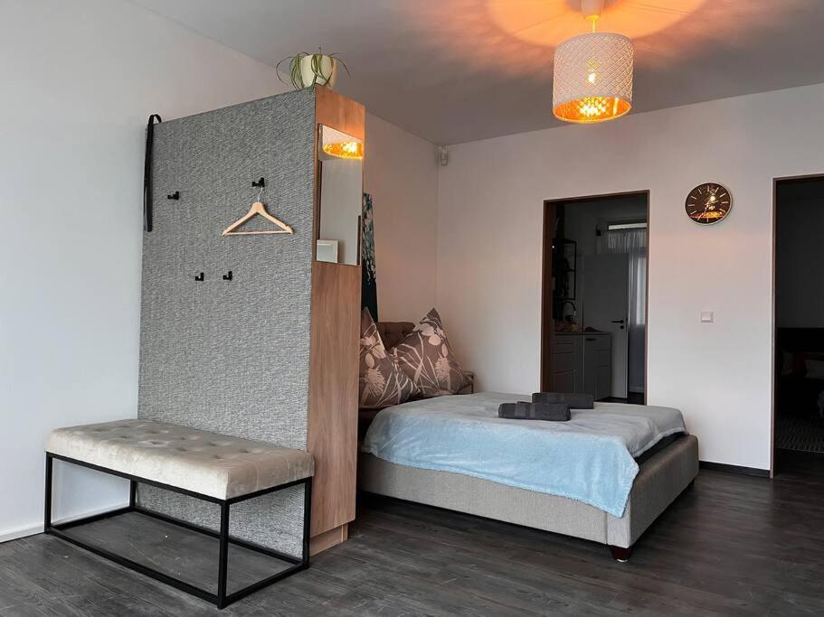 Appartement Zentrale Stadtwohnung, Bahnhofsnaehe, Og-krankenhaus, Og-messe, Europapark Offenbourg