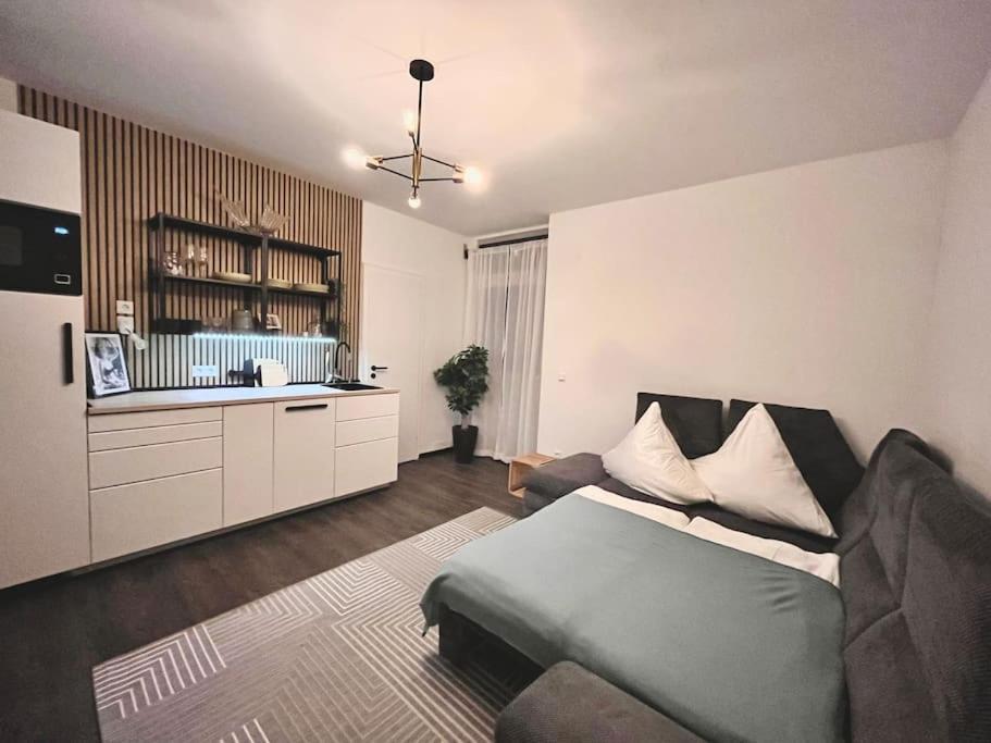 Zentrale Stadtwohnung, Bahnhofsnaehe, Og-krankenhaus, Og-messe, Europapark *